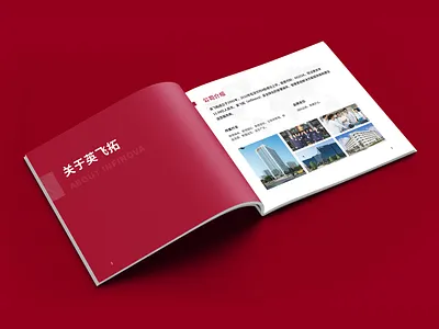 英飞拓