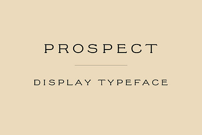 Prospect Display Font antique antique font display display font prospect display font