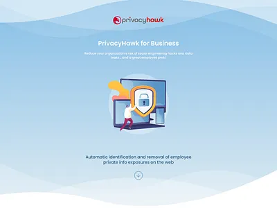 Privacy app for Business design privacy ui ux web website