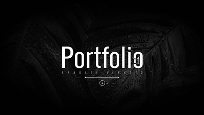 Portfolio branding graphic design logo motion graphics product design ui web design