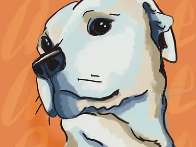 Sweet Annie dog portrait illustration procreate