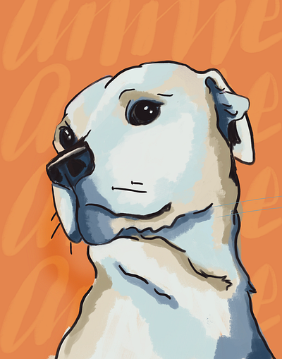 Sweet Annie dog portrait illustration procreate