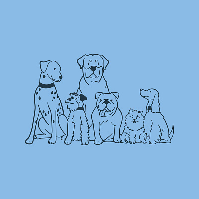 Pet Valu Illustrations animal bulldog cute dalmation design dogs illustration mastiff pet pet store poodle puppy schnauzer vector