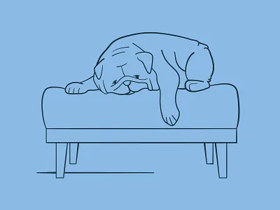 Pet Valu Illustrations animal bench bulldog chair cute design dog illustration pet pet store puppy sad sleeping sleepy tired vector
