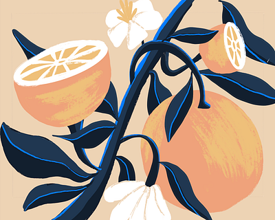 Summer Oranges illustration procreate