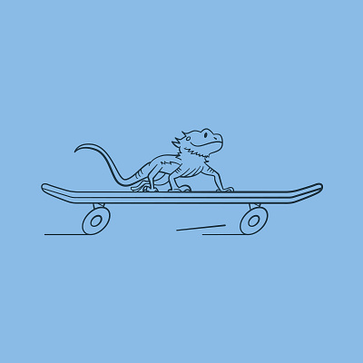 Pet Value Illustrations animal cute design fun illustration lizard pet pet store skateboard skateboarding vector
