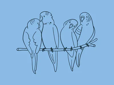 Pet Valu Illustrations animal birds budgie conures cute design friendship illustration lovebirds parakeet parrot pet pet store pets vector