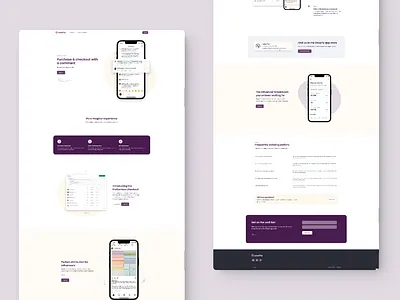 Lasso Pay - Landing layout web design