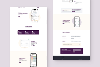 Lasso Pay - Landing layout web design