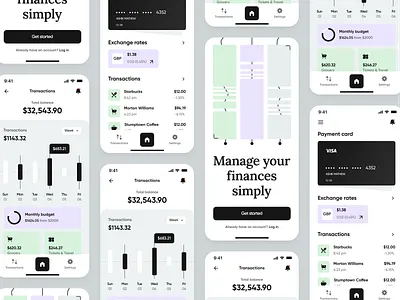 Personal Finance Mobile Application app design graphic design ui ux web