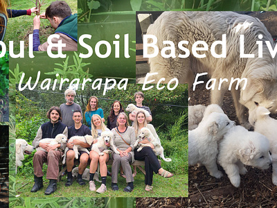 Wairarapa Eco Farm Promotional Material branding photoshop wairarapa eco farm