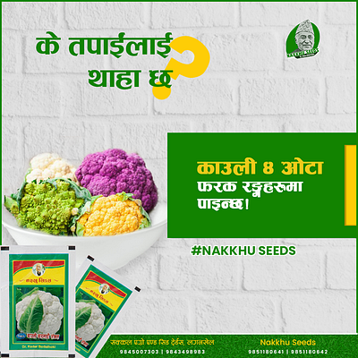 Nakkhu Seeds graphic design