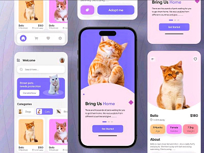 Pet Adoption App app application design interface pet pet adoption ui