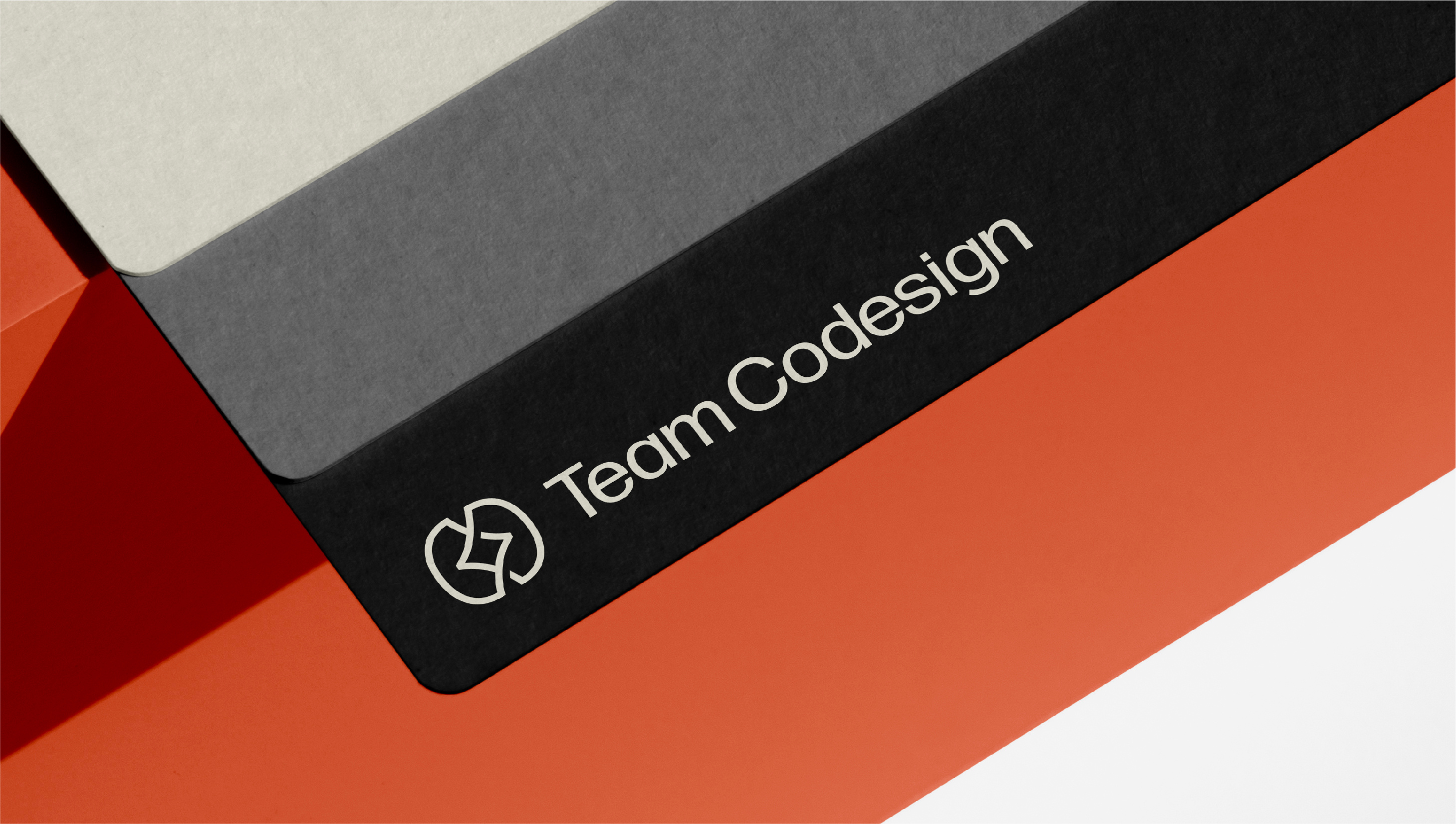 Team Codesign brand brand design brand designer brand identity brand identity design branding clean design graphic design identity design logo logo design logo designer logomark logos minimal modern simple visual identity visual identity design
