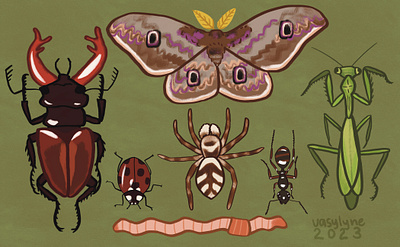 altoid tin + fact sheet designs animals birds bugs design illustration insects pigeon tea