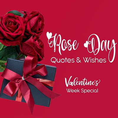 Rose Day | valentines week | Rose day Quote | Rose Day Wishes