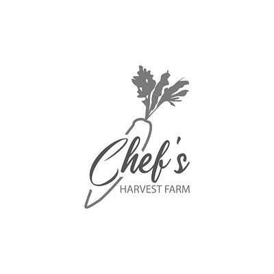 Chef's cartoon designer draw illustration