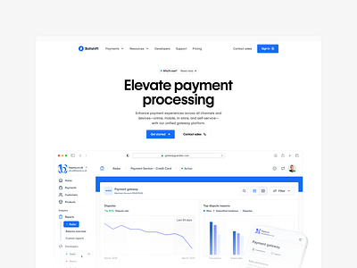 Payment Processing API Service - Landing page agency api catalyst component dashboard developers entreprise landing mobile payment processing stripe ui webapp website