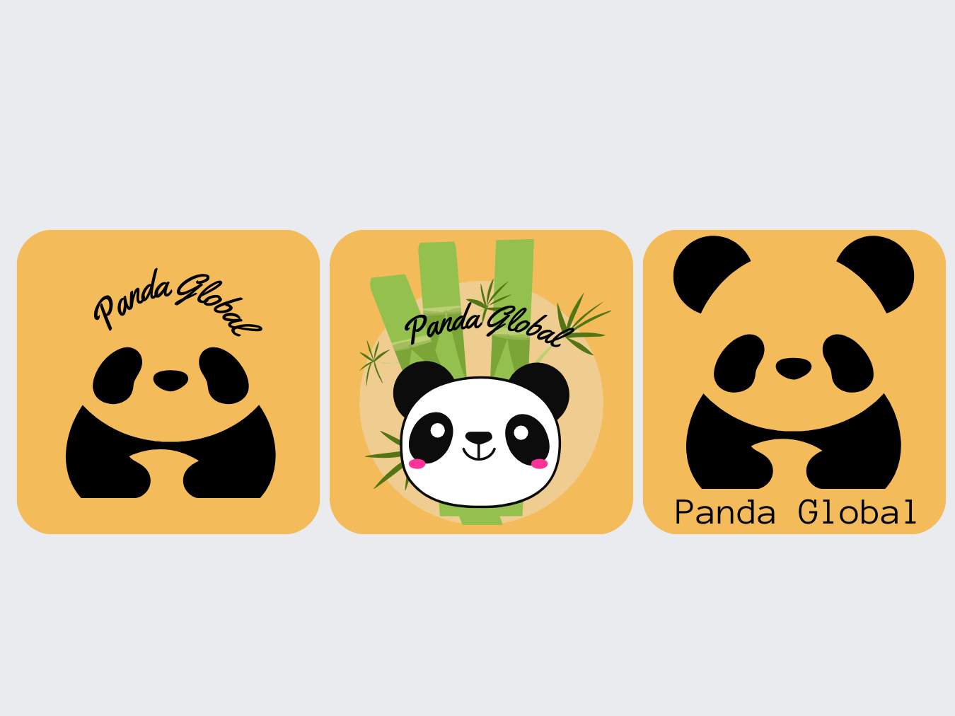 Panda Global - A Non-profit conservation organization by What to Design