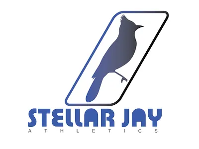 Logo Design BlueJay branding graphic design logo