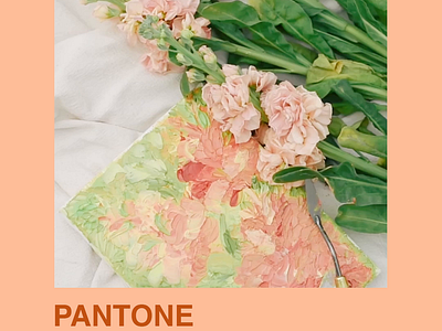 Pantone Color 2024 - Peach Fuzz animation graphic design motion graphics