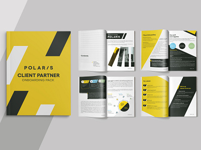 Brochure Design for Polaris b2b b2b brand brand branding brochure brochure design design digital digital art ebook ebook design graphic design identity branding marketing marketing collateral marketing design modern