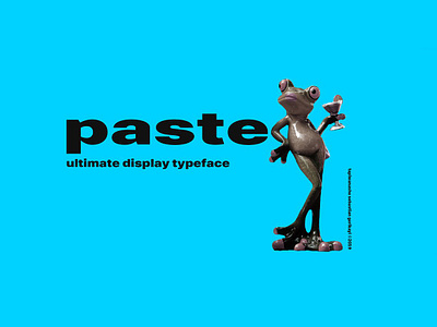 Paste Display Typeface display font expanded expanded minimal headline font newspaper font poster