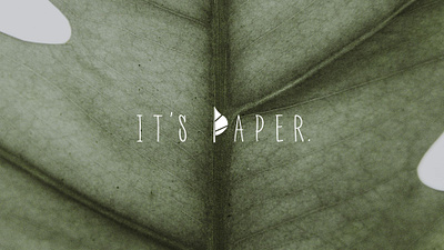 IT'S PAPER. branding design graphic design logo paper vector