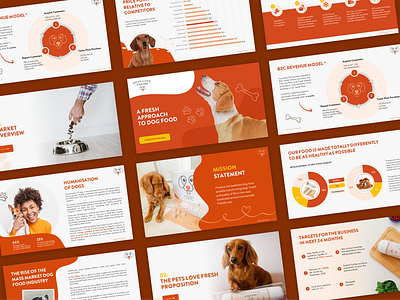 Presentation design animals branding bright brochure drawing graphic design icons illustration infographics investor pitch orange pitch deck powerpoint presentation slides