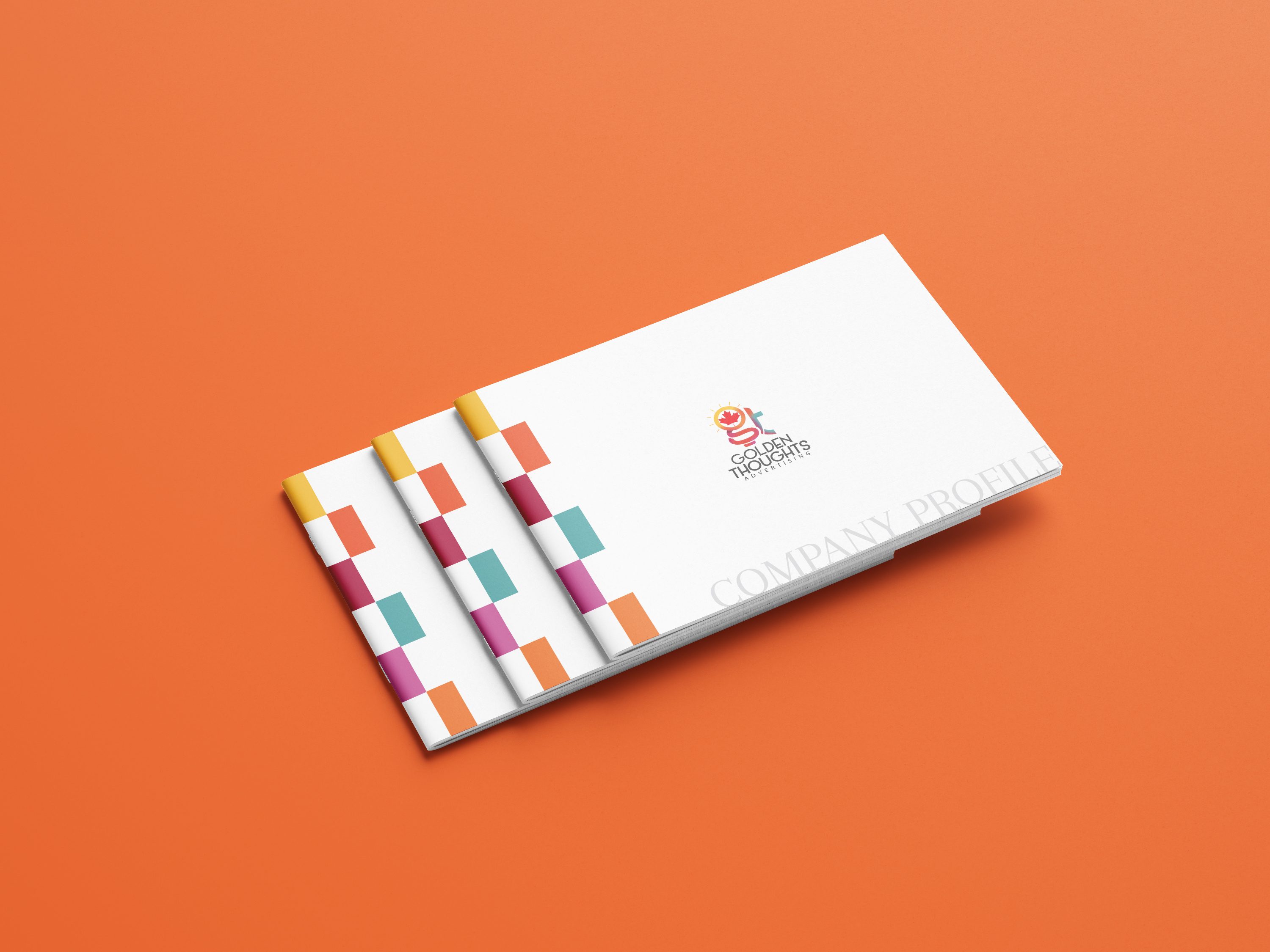 Company Profile booklet branding business profile company brochure company profile corporate profile graphic design magazine profile