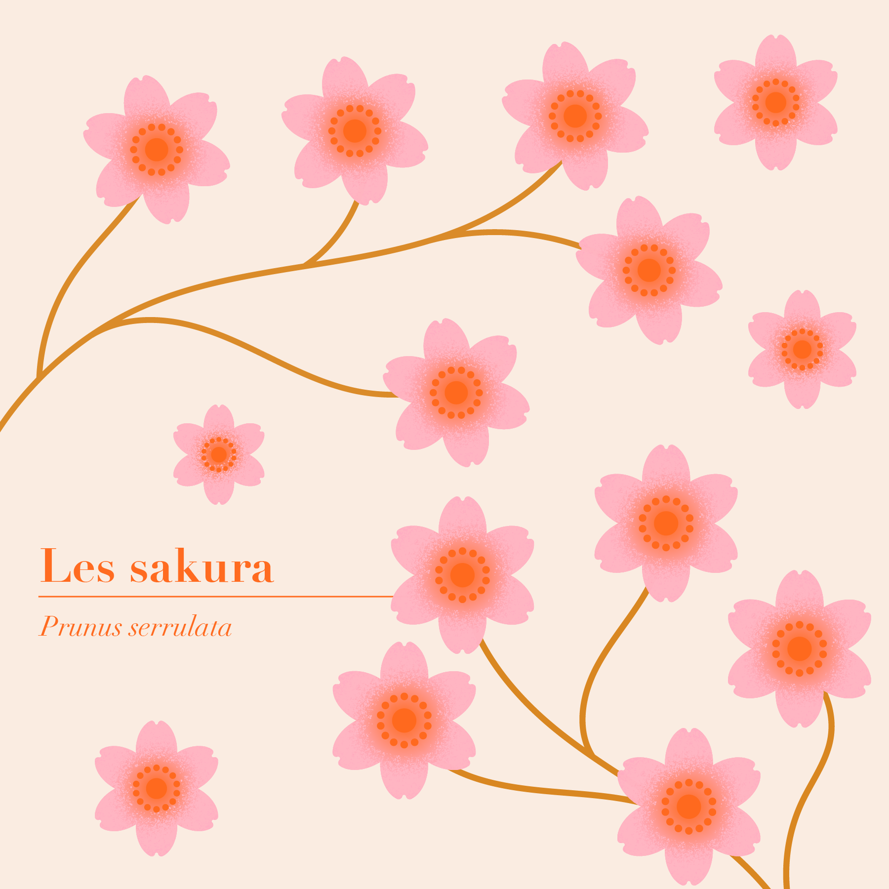 Mon Jardin | Series branding concept design editorial graphic design illustration packaging postcard postcard design stationery vector