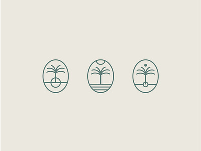 Palm Tree Mark Exploration branding illustration logo design visual identity