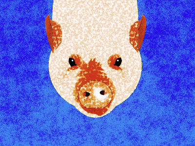 Oskar doodle illustration noise oskar piggy shunte88 vector