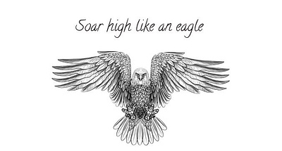 Sketch eagle figma graphic photos