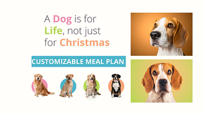 Customizable Meal Plan Template for Pets meal plan template