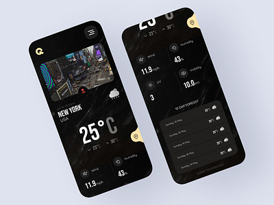 Weather Wise - A Seamless Blend of Design and Functionality mobileapp ui uiux weatherapp