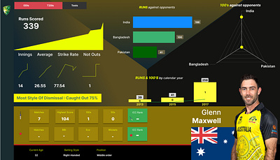 CRICKET DASHBOARD cricketdashboard cricketerdashboard scorecarddashboard uidashboard uxdashboard