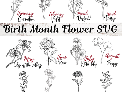 Birth month Flower SVG birth month birth monthflower birty month flower minth flower personalised svg svg bundle