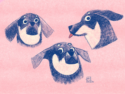 Bajka the dog dog fun illustration procreate skechers