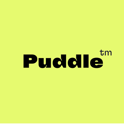 PUDDLE , A SOCIAL MEDIA APP illustration ui ux vector