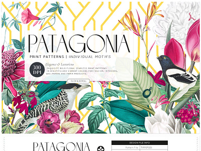 Patagonia Design(Pattern & Motifs)