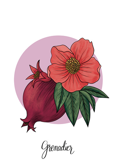 Pomegranate Flower & Fruit flower fruit illustration leaves pomegranate