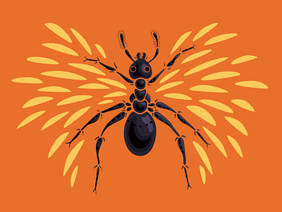 Flying ant in orange abstract animal ant entomology illustration insect orange vector