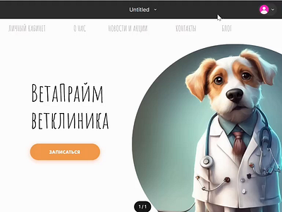 Ветеринарная клиники ui веб дизайн ветклиника