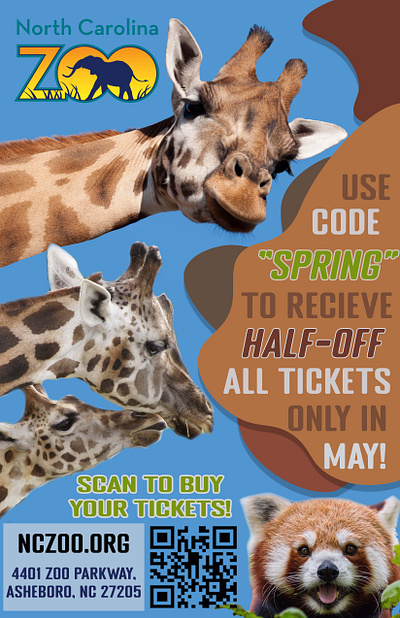 NC Zoo Promotional Flyer branding graphic design logo photography typography vector