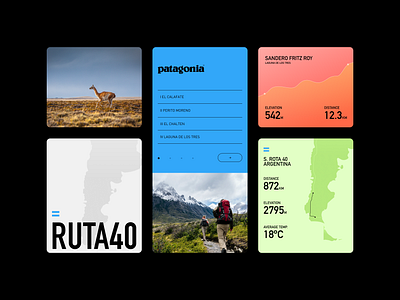 Patagonia UI Concept interface mobile ui