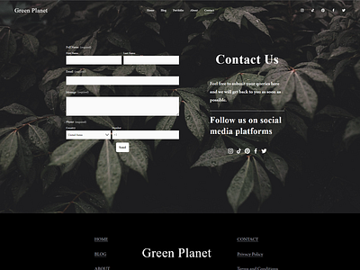 Green planet - Squarespace website template - Contact us page contact contact page contact us page design graphic design minimal template minimalist template plants squarespace squarespace theme squarespace website squarespace website template template ui ux web design website website design website design template website theme