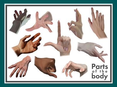 Parts of the body. Hands illustration photoshop