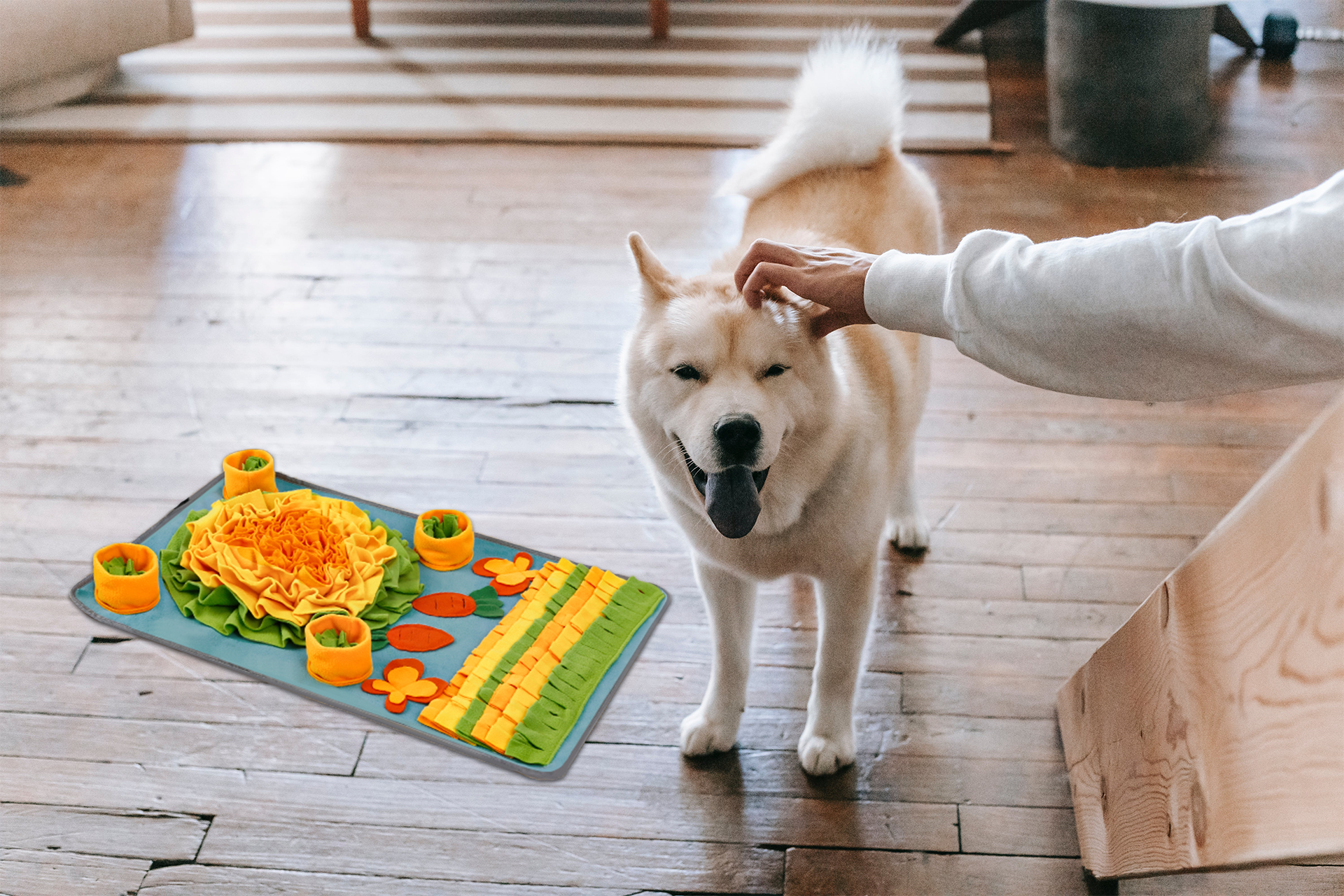 Dog Snuffle Mat Product Edit design graphic design photo editing product design