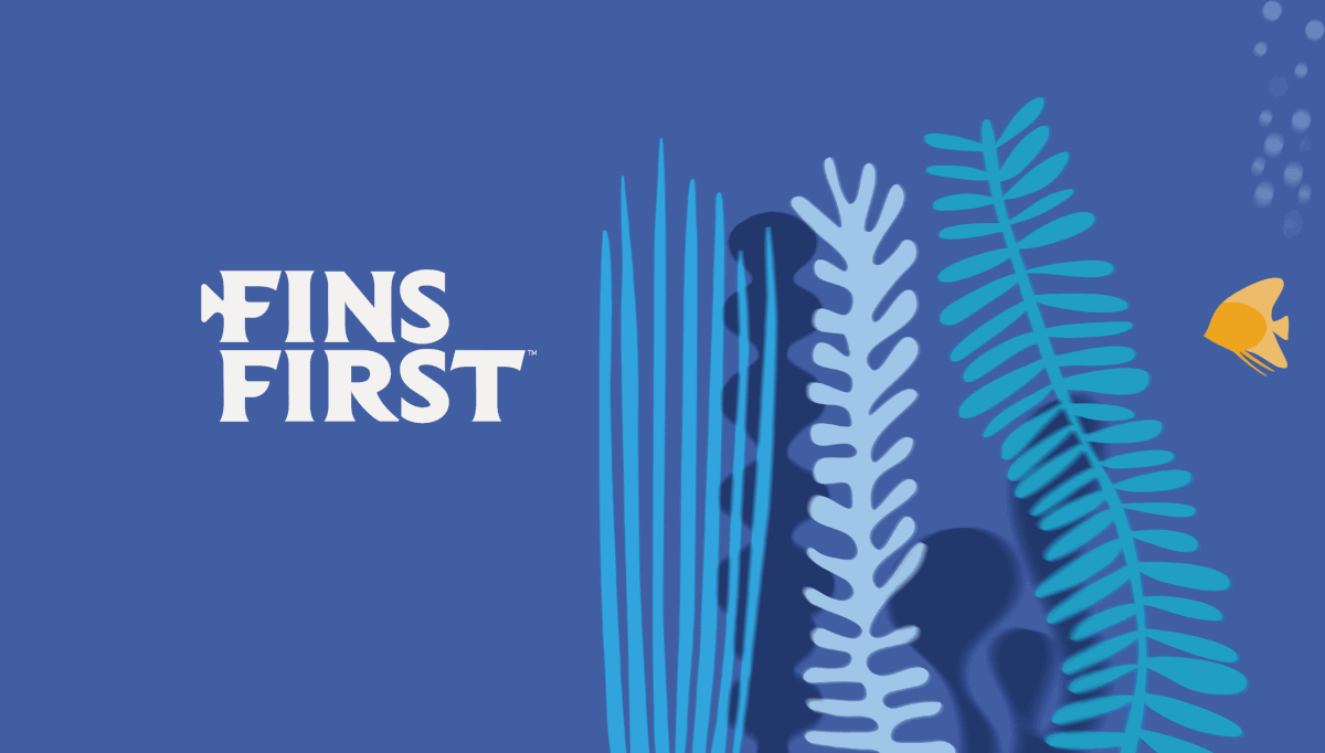 Fins First Identity adobe illustrator animation branding design illustration logo motion graphics procreate